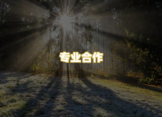 专业合作