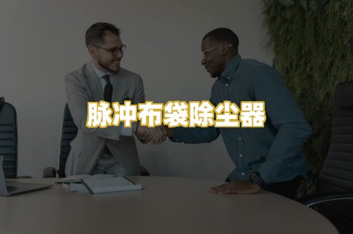 脉冲布袋除尘器